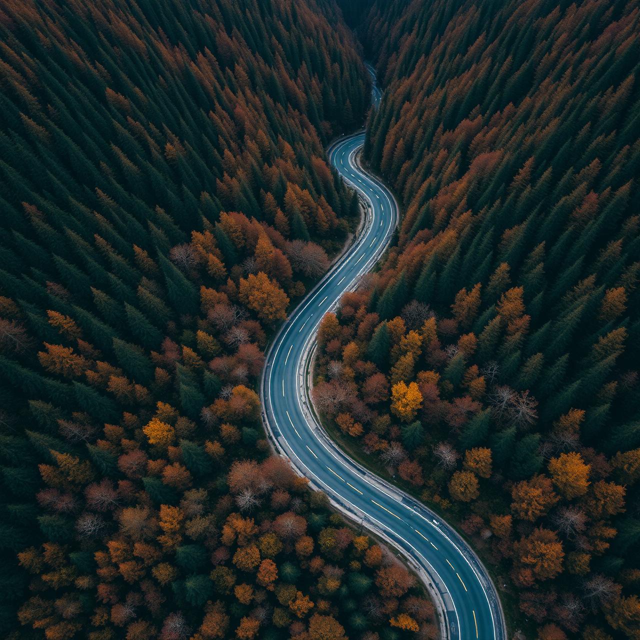 Autumn Switchbacks